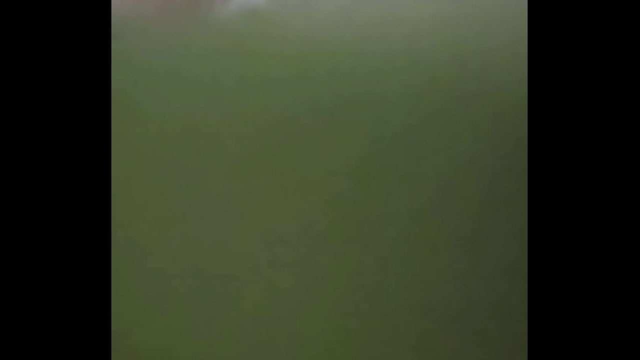 Vibrater pregnant wife