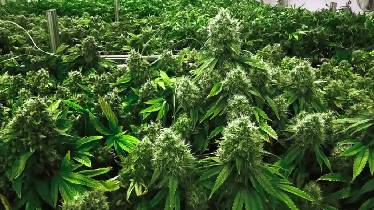 AL DESPERTAR CON MARIA Y EL TERCER OJO