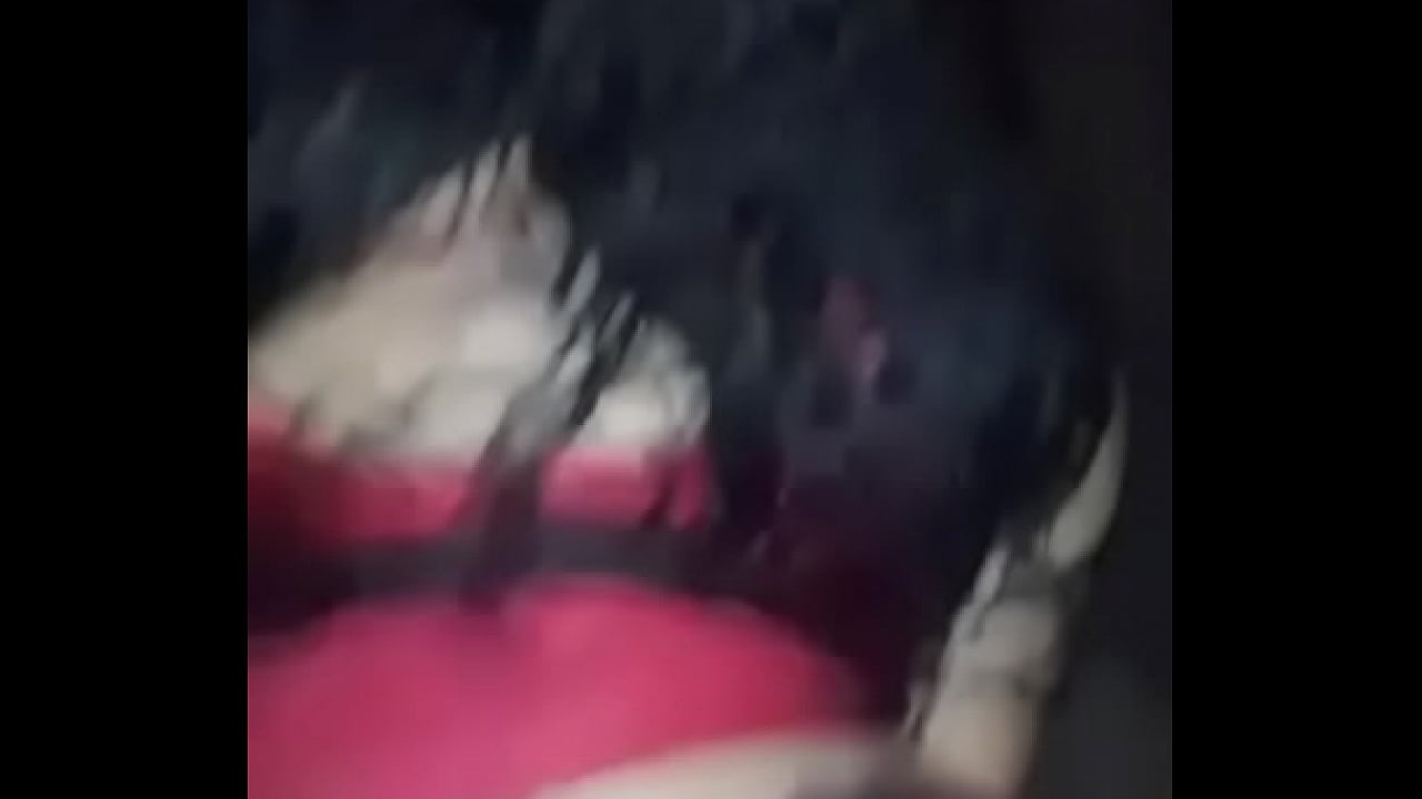 la perra se mueve riqu&iacute;simo