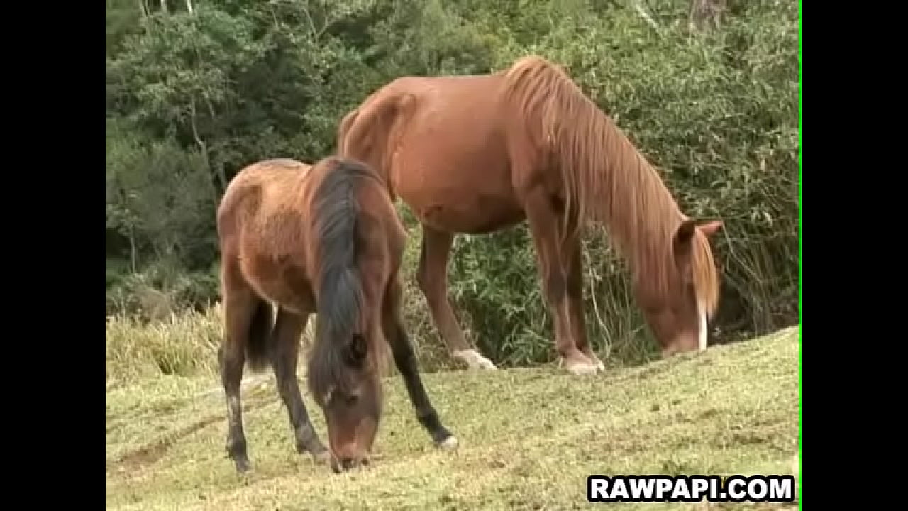 Two Latino Boys Fucking Bareback