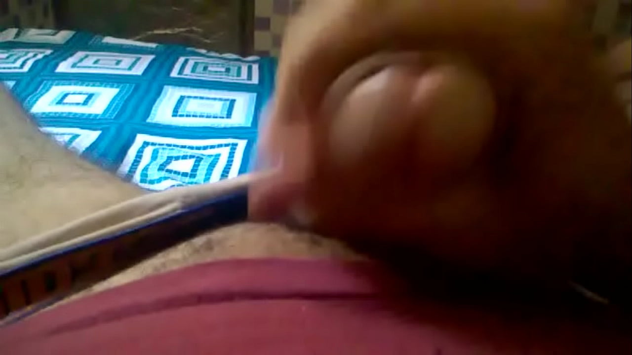 Brasileiro Branco Pau Grande Maranhao