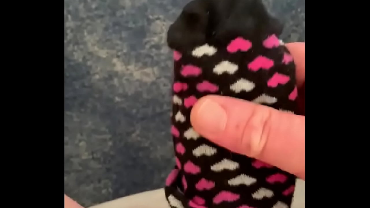 Cum in a sock