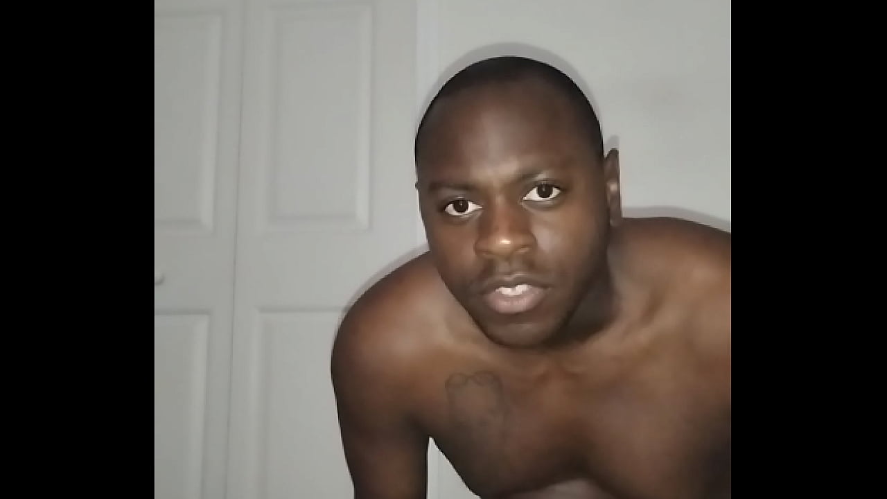 Sharing a few more fluids for free after 600th time showing up on sheer.com and more free blogging also free aesthetic ideas for both myself and anyone else to do anything with 1