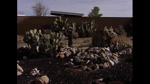 VCA - High Desert Dream Girls - scene 3