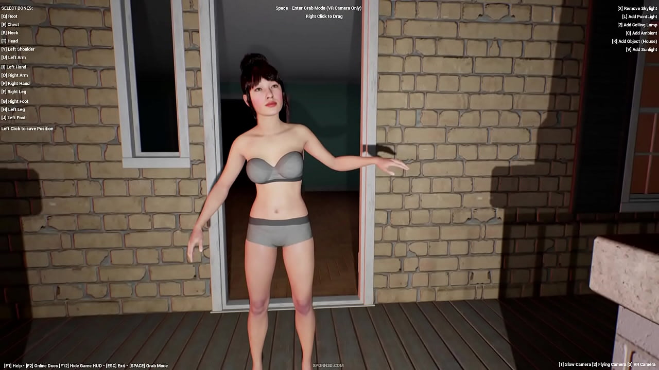 XPorn3D Free Virtual Reality 3D Rendering Software