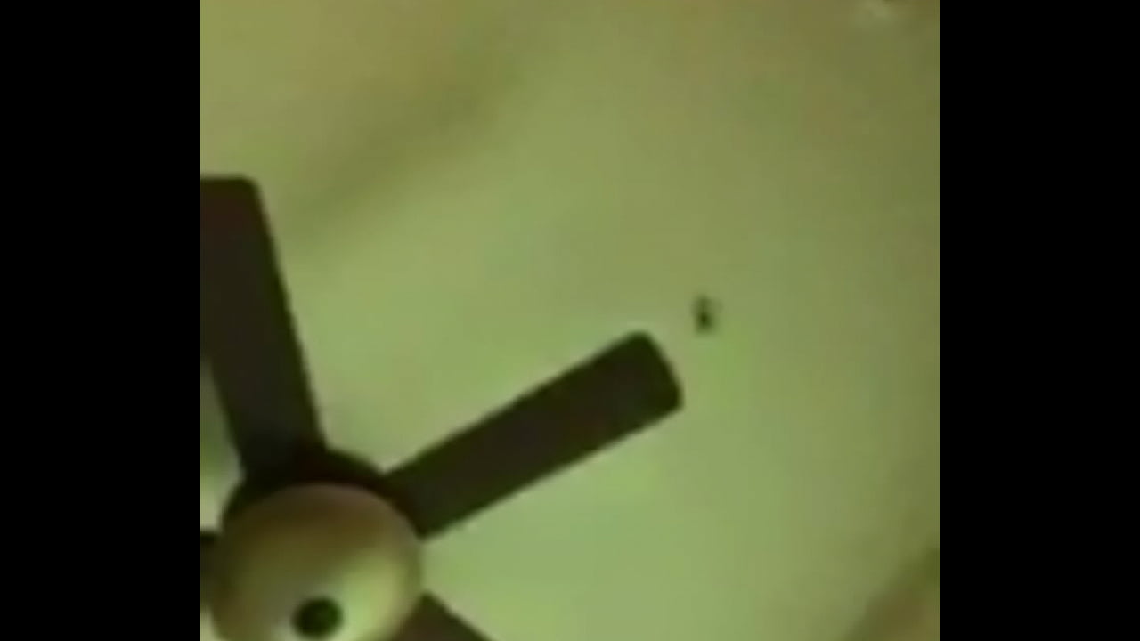 Asian babe moans loud from deep Dicking