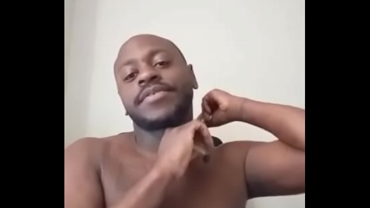 Other colors these scorpio zodiac animals show up in 1