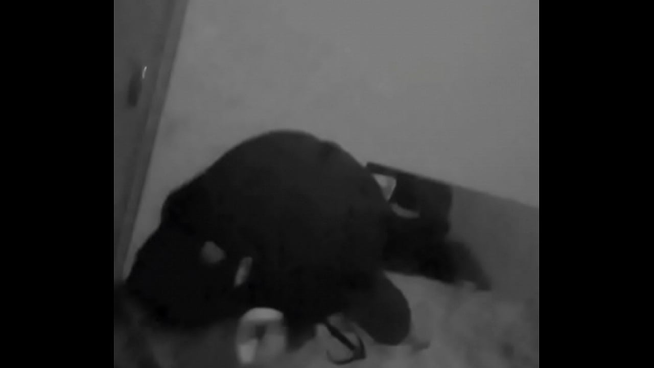 Ella quiere que le grabe como se la meto