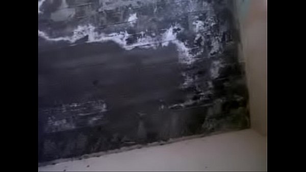 DespachadoraArdiente 10.3GP