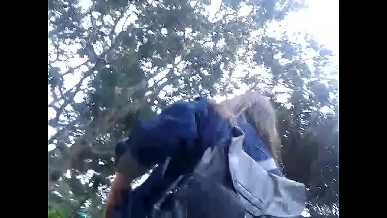 upskirt calz&oacute;n celeste