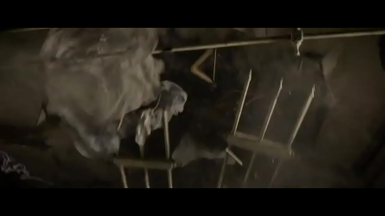 Animais fodedores fant&aacute;sticos