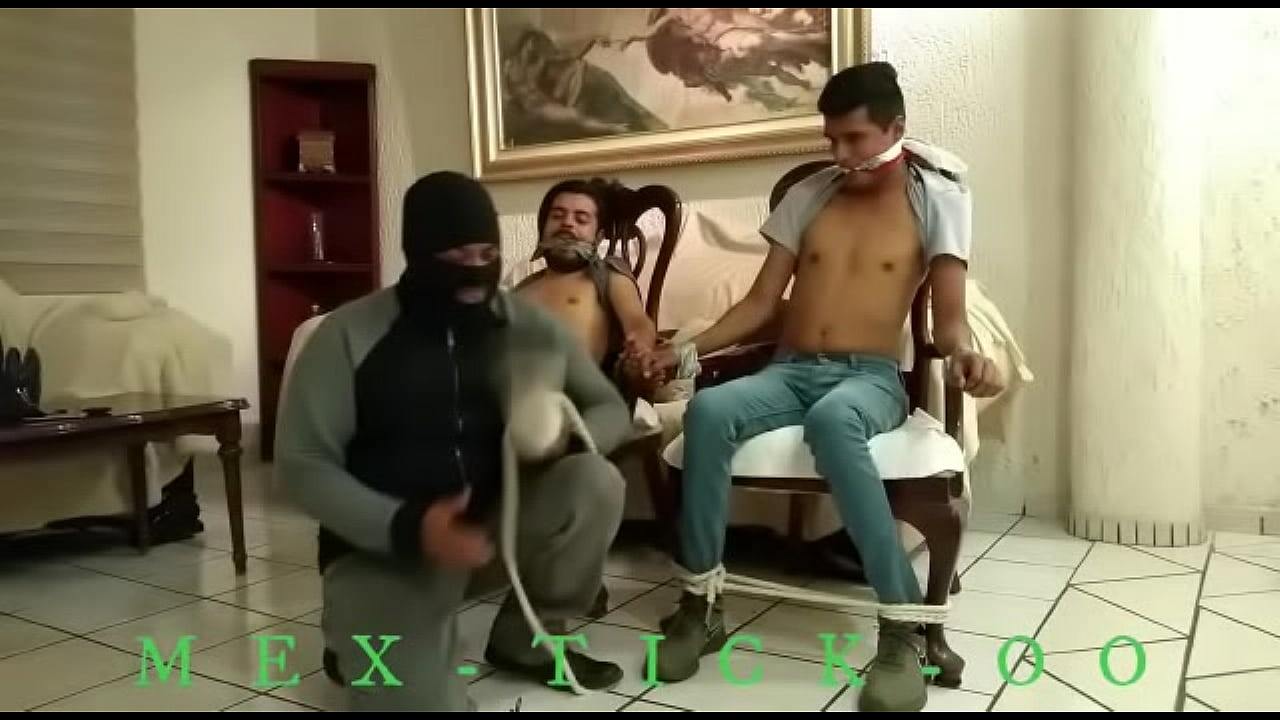 SECUESTRO DE COSQUILLAS