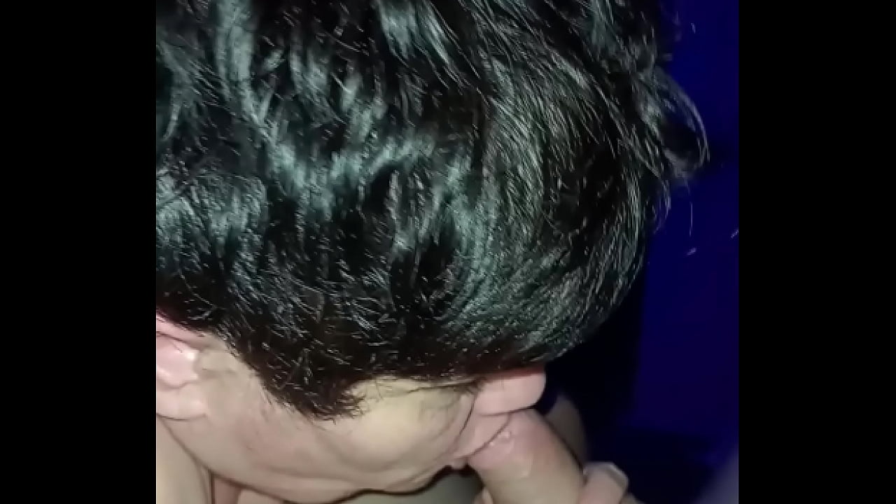 2025 11 14 Chienne Marie offerte au club le Paradis