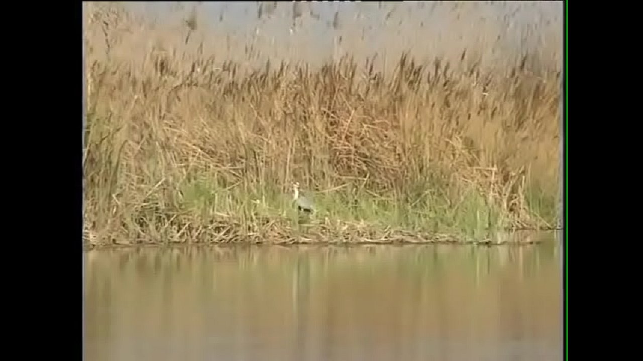 Alba Del Monte, Sara Bernat, Tavalia Griffin, Sophie Evans, Cha&iuml;na, Ramhatulay