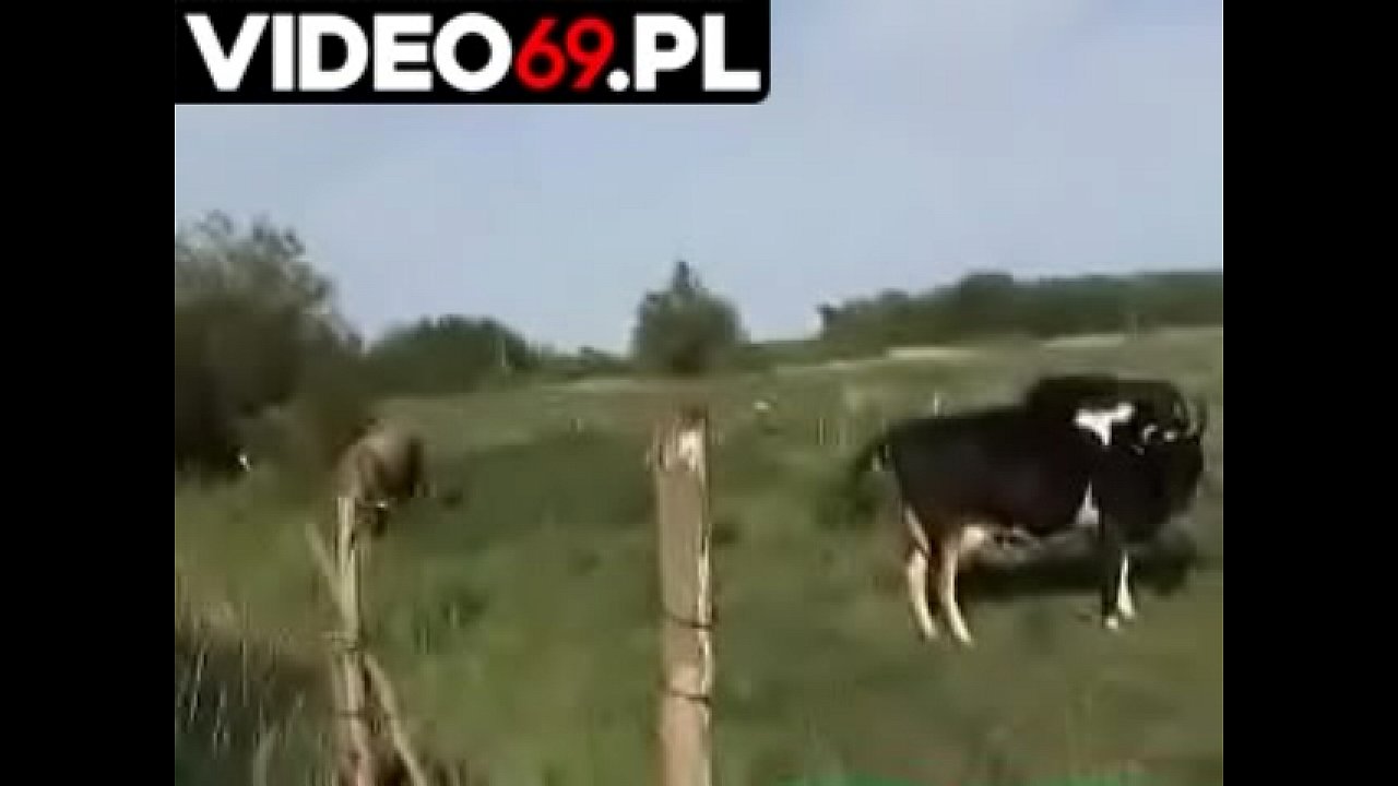 Polskie filmy erotyczne - Przejeżdżając z wiochy do wiochy natknąłem się na autostopowiczkę... podwiozłem ją... a ona odwdzięczyła mi się :)