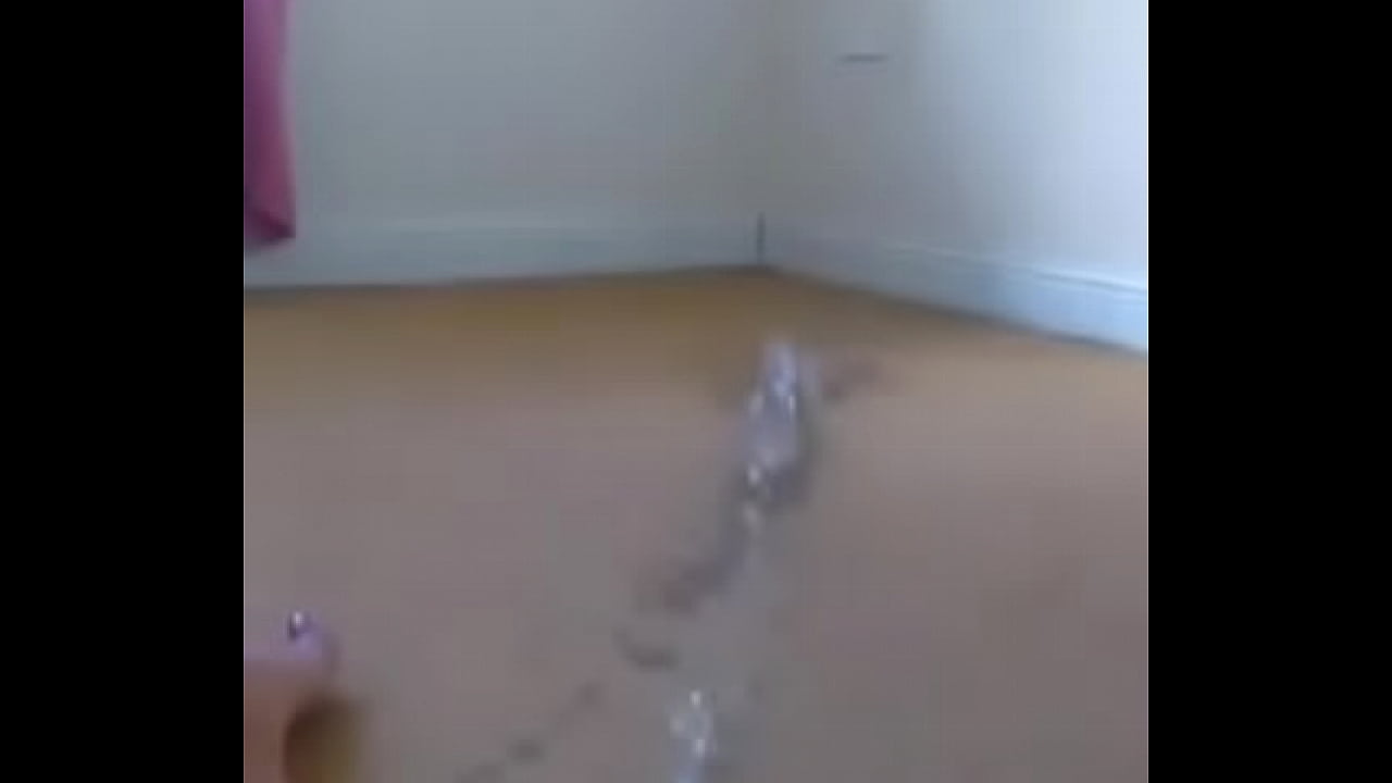 POV GIRL MASTURBATE - GIRLSSNAPSHOTS.COM