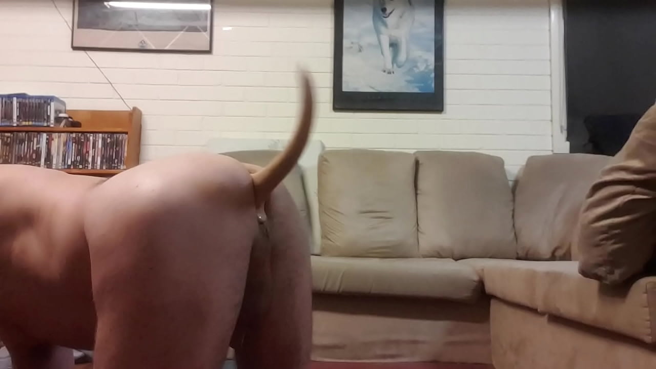 I like wagging my tail with this puppy dog tail butt plug. I had to thank the guy who made it by sending him this