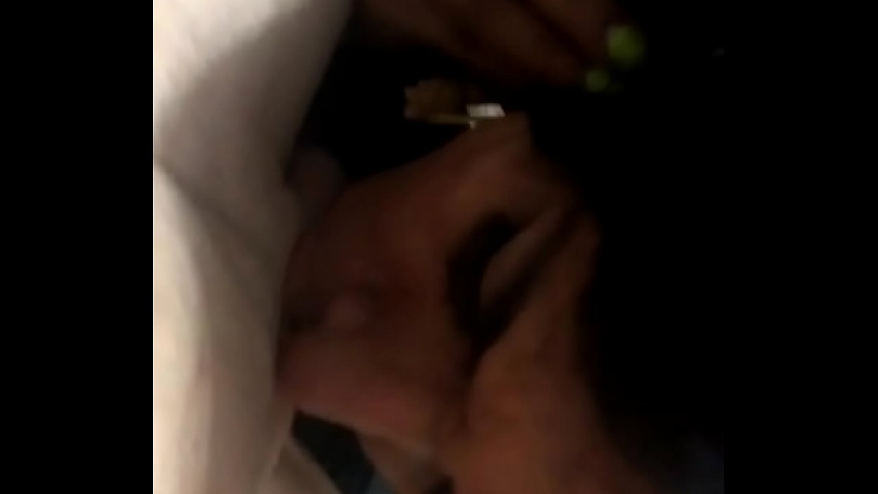 Danica latina internacional