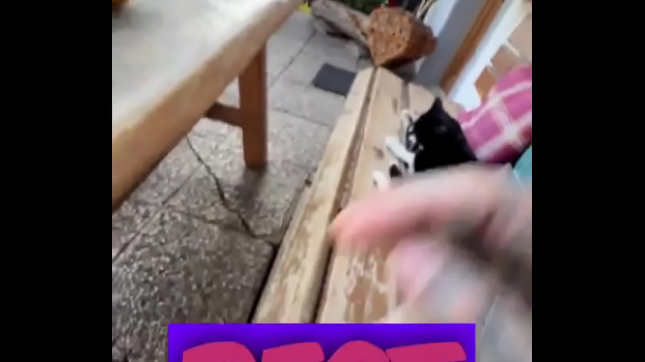 Running with Lily-lu-filmz and the cat makes break time so sweet ?️Who&rsquo;s your favorite running companion?#Runn...