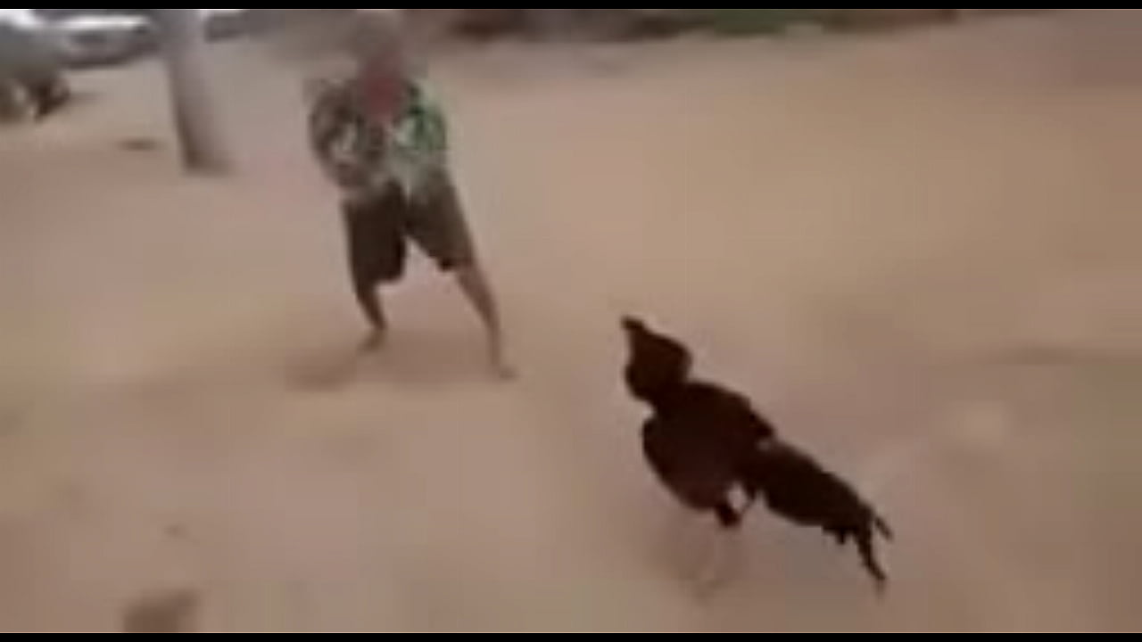 V&iacute;deo de verifica&ccedil;&atilde;o