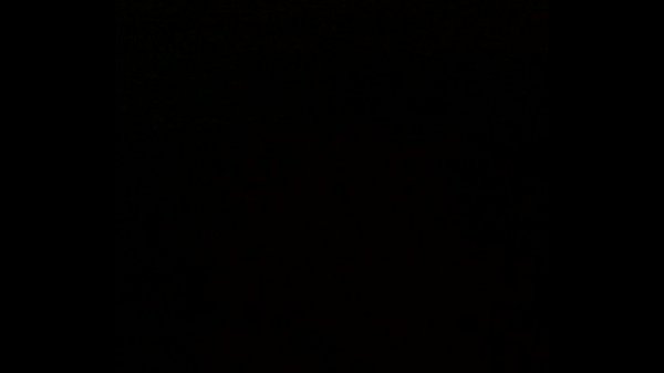 blowjob amateur best