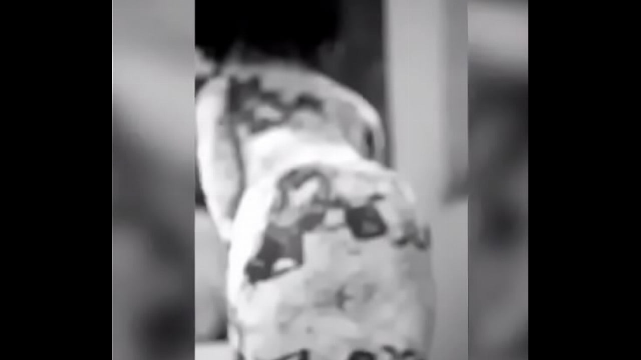 wiping the window for