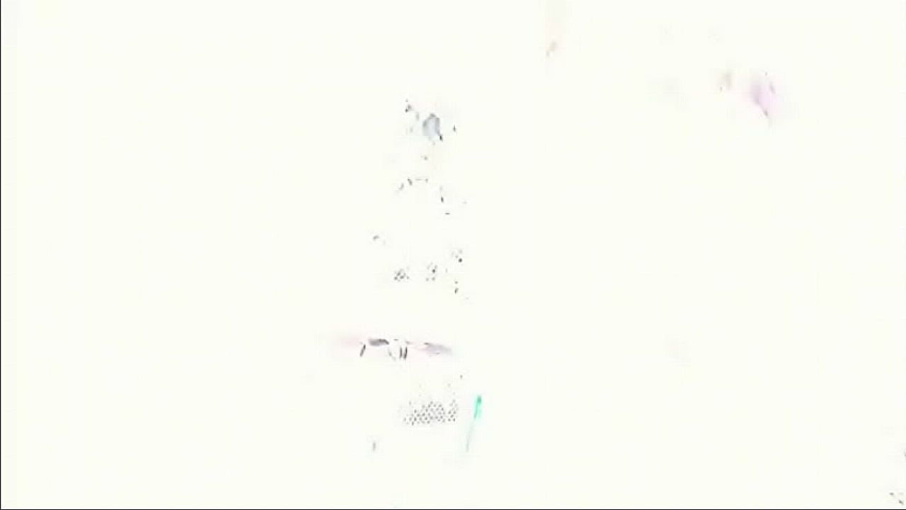 acompanhante rj laura