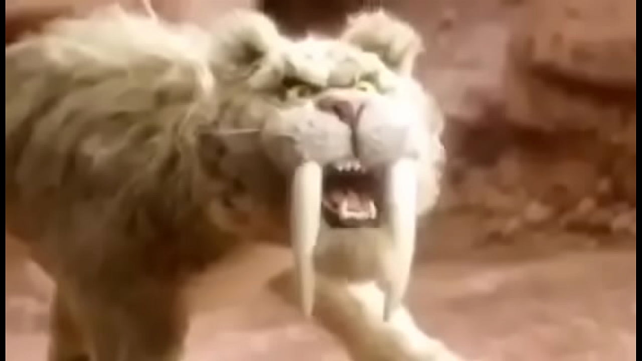 pika de jegue no cu do elefante