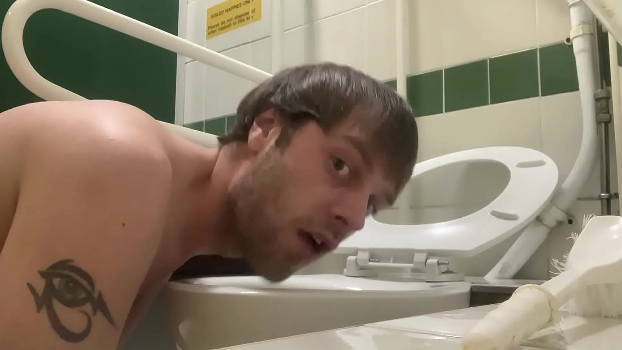 toilet pig cant get enough