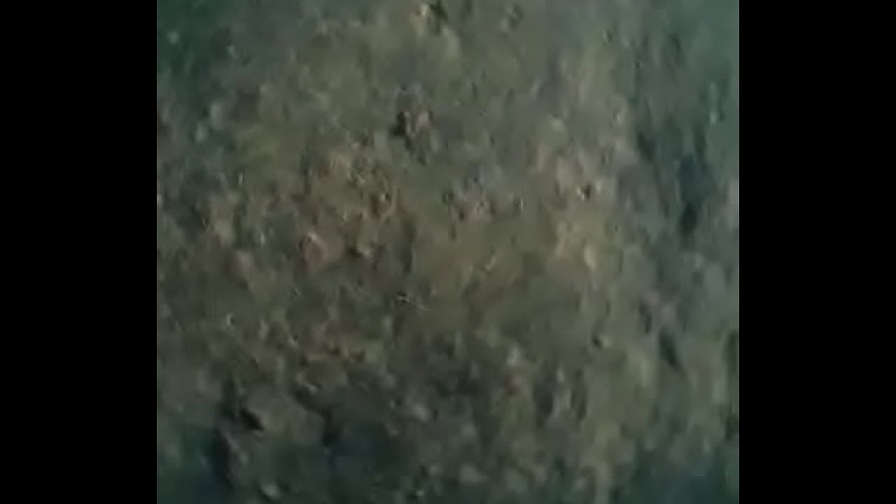 वेरीफ़िकेशन विडियो