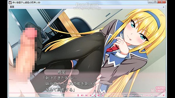 Anekouji Naoko to Giniro no Shinigami femdom