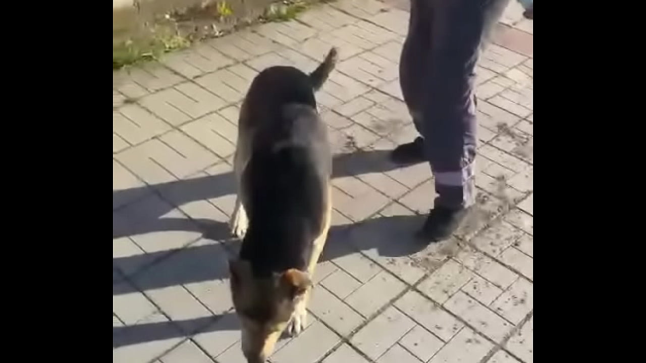 Видео для верификации