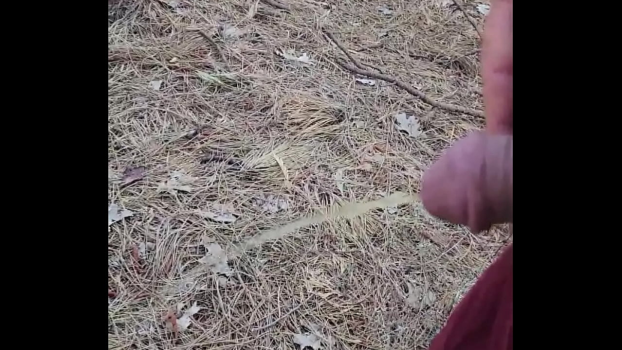 Kaso221 - outside pee