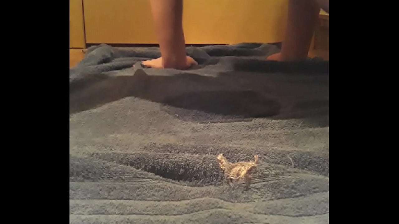 Trans guy woman's panties