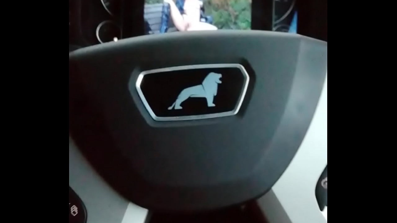 Quik wank in a layby