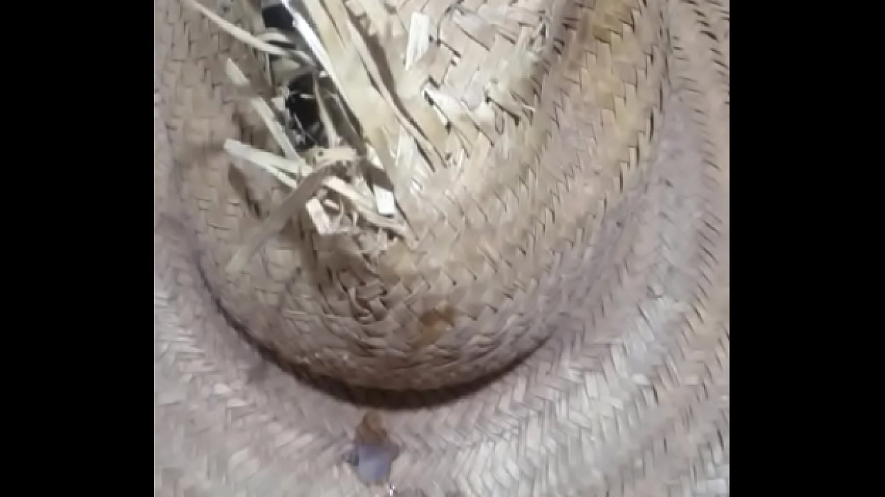 Chap&eacute;u do cowboy cheio de leite