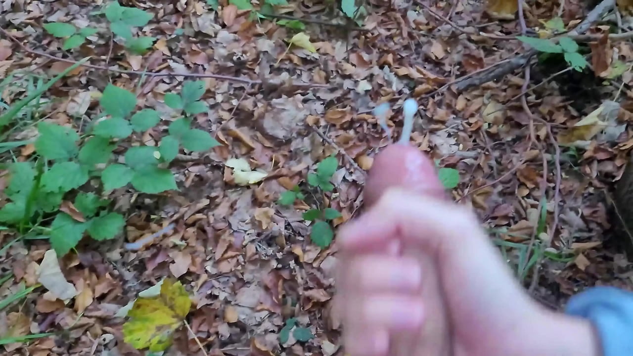 Short compilation of cumshots on booty and mouth.POV