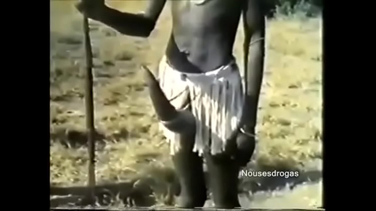 Pene africano