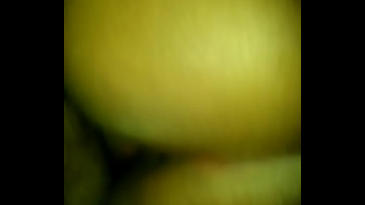 colombiana chata culona - lince