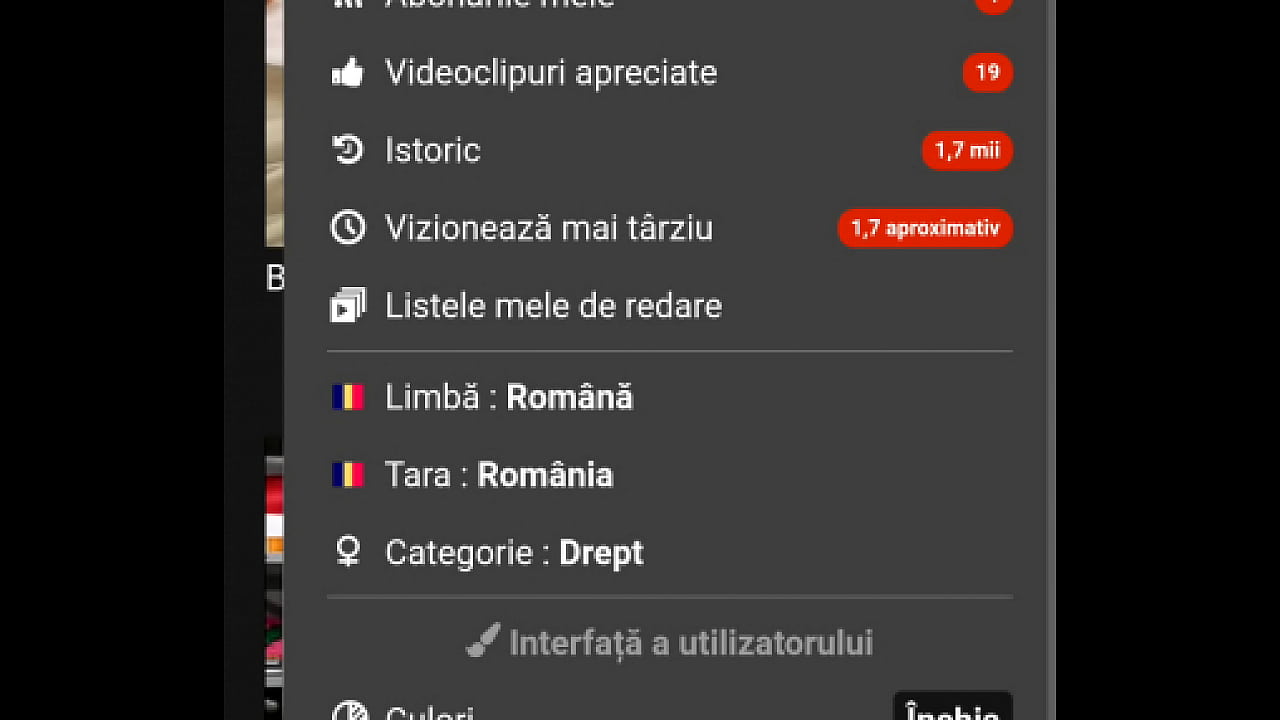 Videoclip verificare