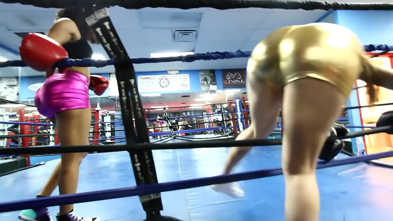 Beat the Pussy Up : Miami Fight Night