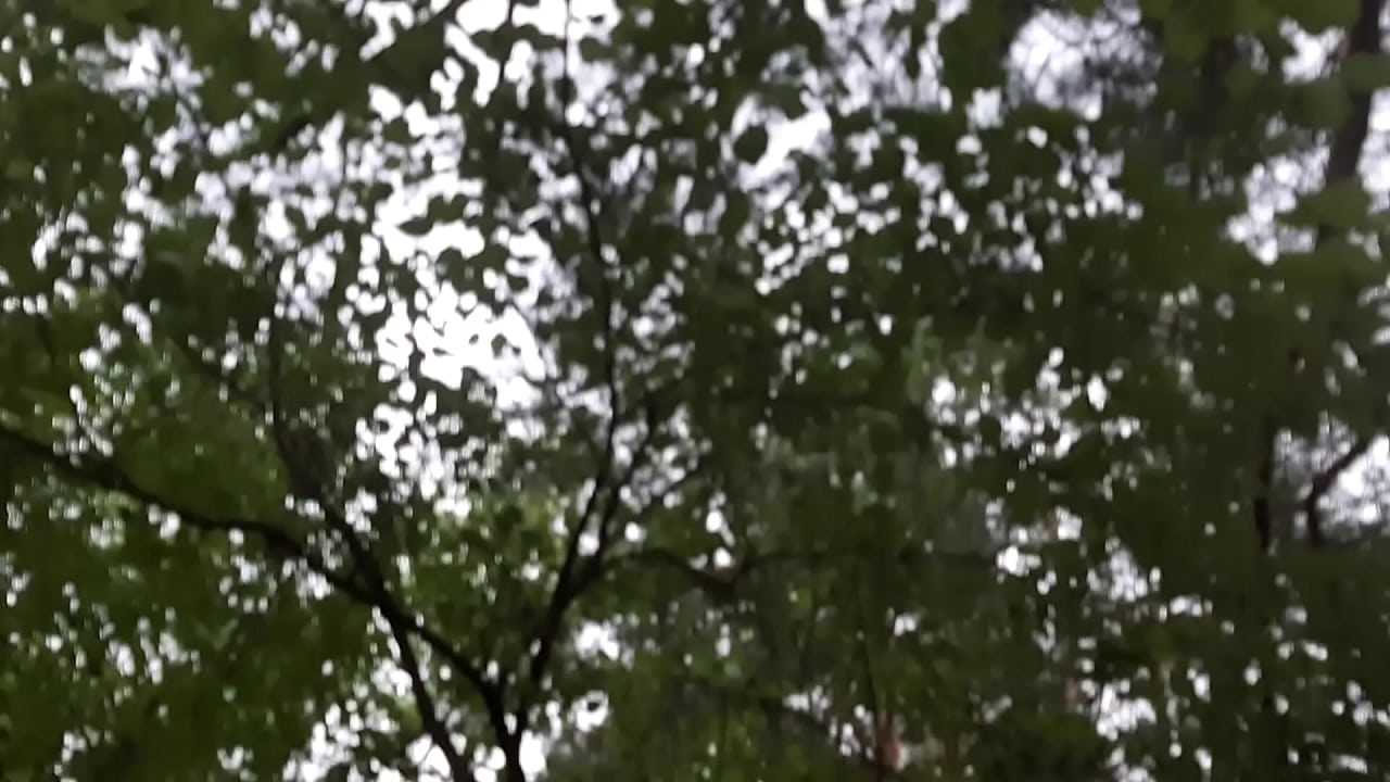 A passionate stranger made me cunnilingus in the park in the rain