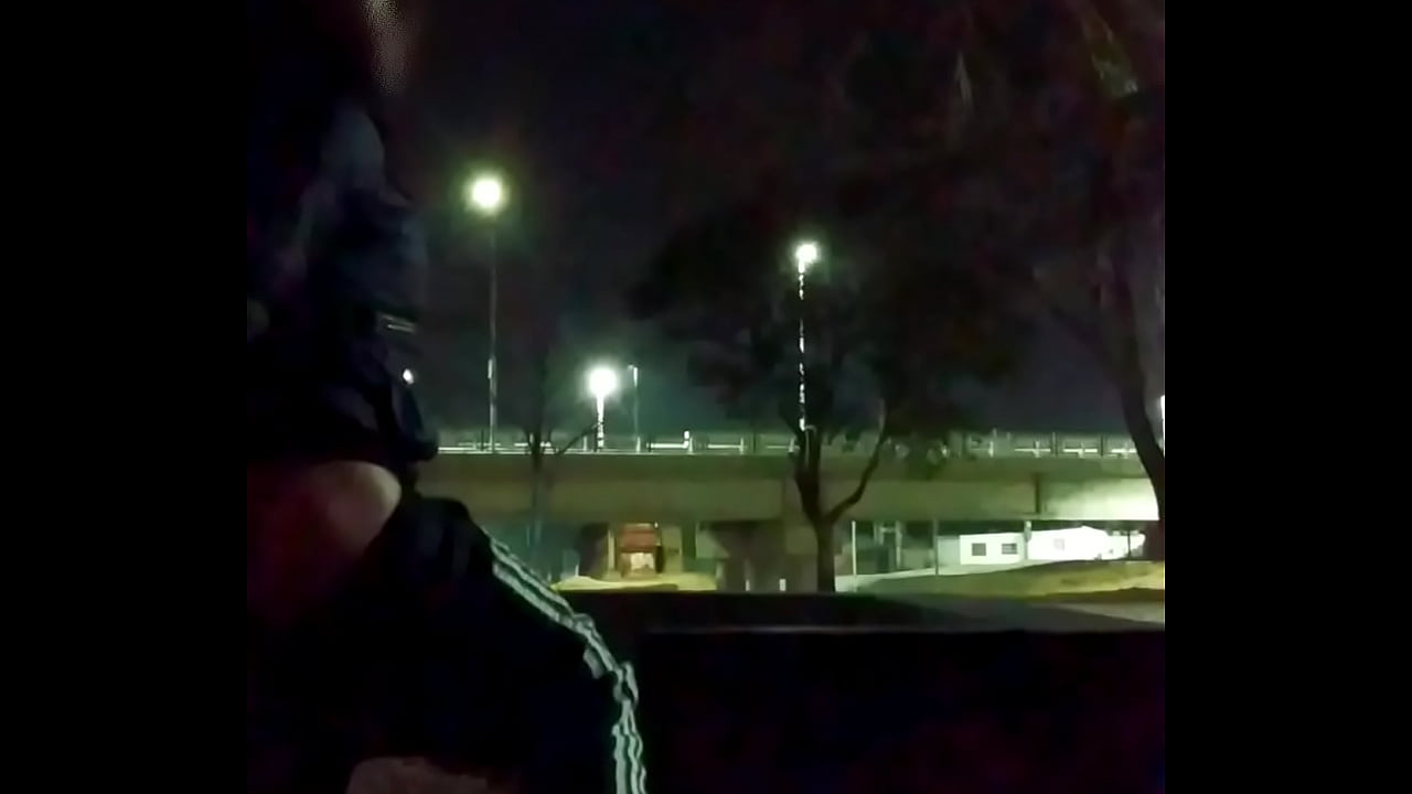 Transexual se folla en p&uacute;blico