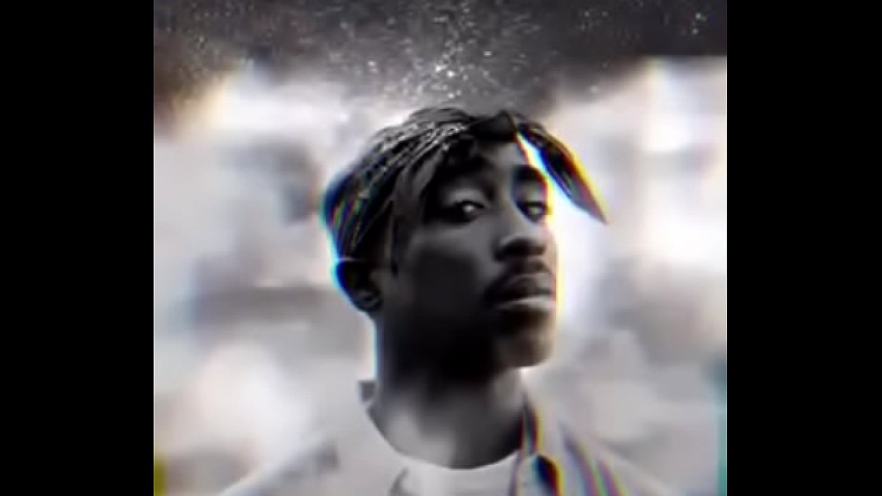 فيديو التحقق