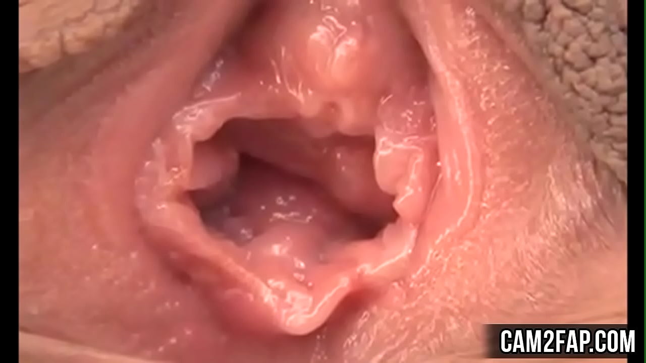 Pussy Free Asian Pussy Licking Porn Video