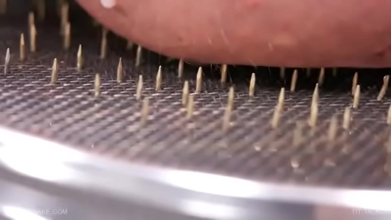 Queensnake.com - Tit Tacks 2