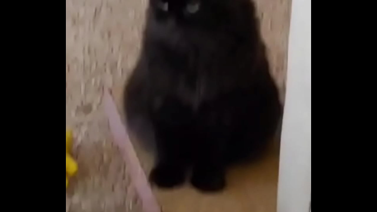 I was really lucky to have a bestfriend like her. A part of me is gone now.Rest in peace my beautiful angel  I love ...