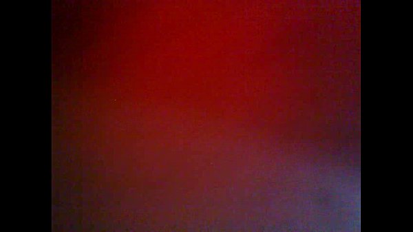 xoxoteiro em a&ccedil;&atilde;o