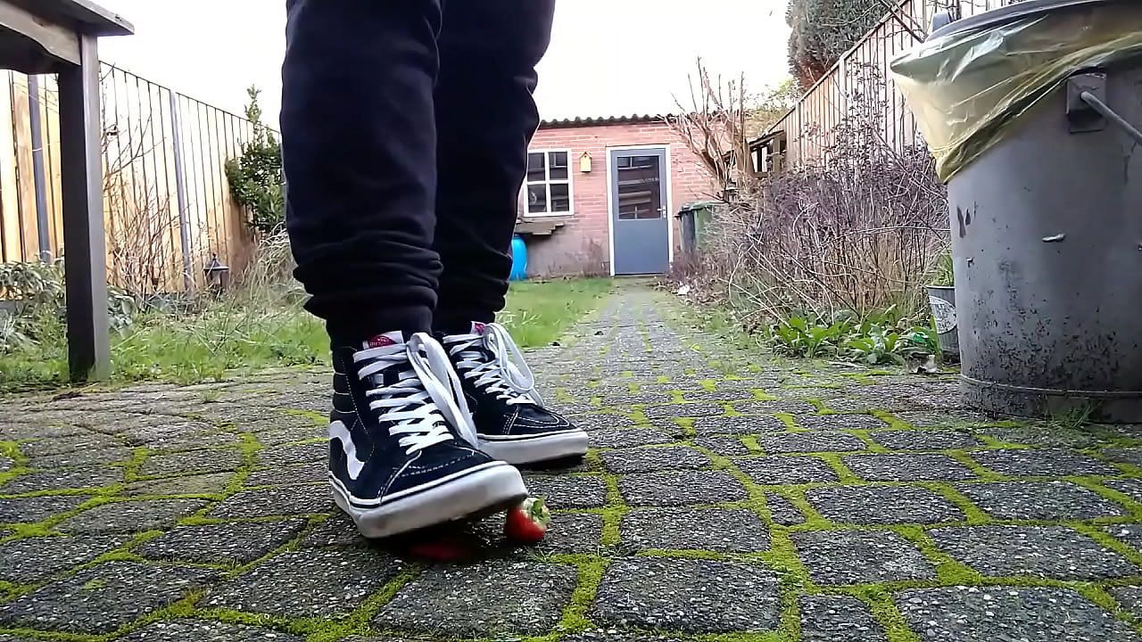 Vans squaches strawberries