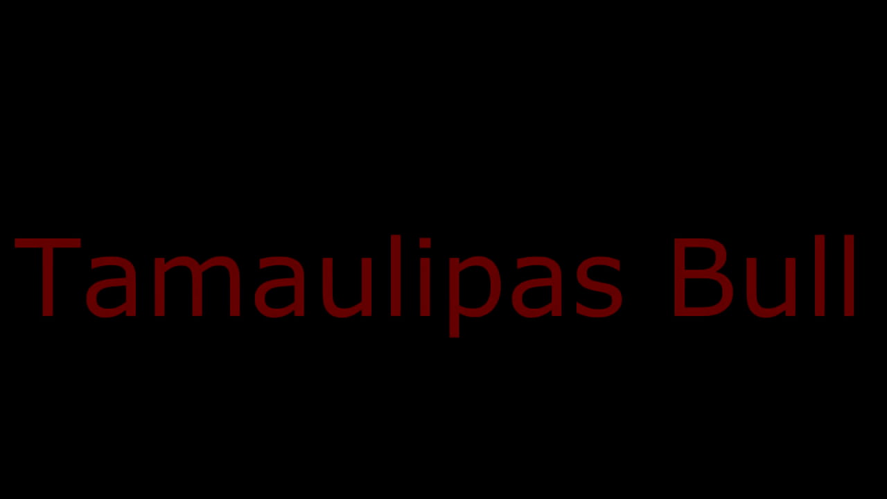 Chasing the mexican bull